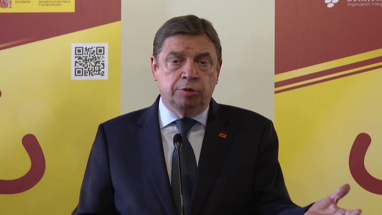 Planas manifiesta el apoyo "sin reservas" del Gobierno al sector de los frutos rojos de Huelva