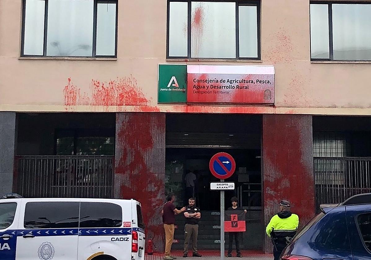 Un activista en la sede vandalizada de la Junta en Cádiz