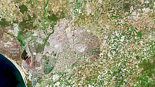 Imagen antes - Como se muestra en estas dos imágenes de Copernicus Sentinel-2 adquiridas el 16 de abril de 2022 (arriba) y el 11 de abril de 2023 (abajo), la agricultura en el área ha sufrido daños significativos. Llama la atención la ausencia de vegetación en la imagen de 2023. El impacto de la sequía también se ha extendido al Parque Nacional de Doñana. En la imagen de 2023, los cuerpos de agua permanentes del parque parecen secos, lo que representa una amenaza para la supervivencia de la vida silvestre que depende de estas fuentes de agua