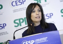 Marlaska, a la directora de la Guardia Civil, Mercedes González: «Me ha llamado el presidente; vas en las listas por Madrid»