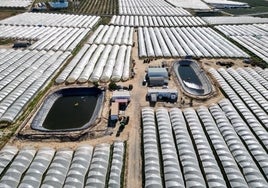 Cuatro años esperando las obras prometidas por Sánchez para llevar el agua a Doñana