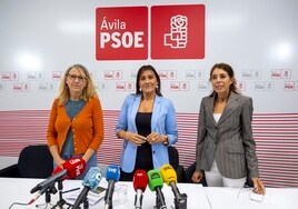 La candidatura de Ávila al Congreso dimite en bloque salvo el número uno impuesto por Ferraz