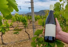 Nuevo ataque a productos españoles: Castilla-La Mancha planta cara al «perverso» etiquetado de Irlanda para el vino