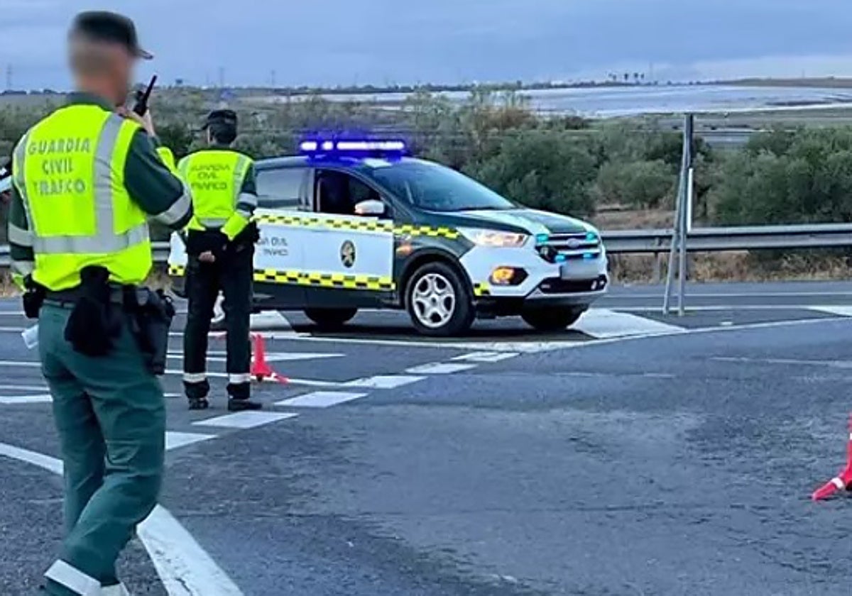 La Guardia Civil detuvo al conductor tras unos arbustos