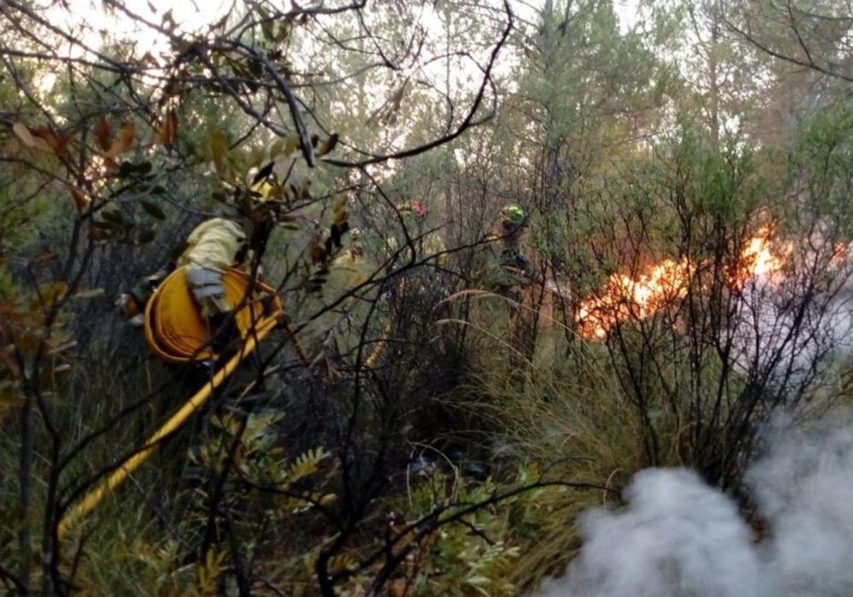 En la imagen de archivo, agentes forestales apagando un fuego en Albacete