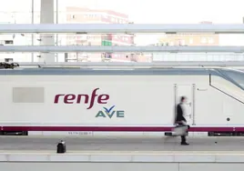 Renfe amplía el Servicio de Transporte Amigable con perros de hasta 40 kilos al trayecto Madrid-Valencia