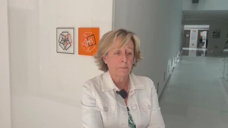 Elena Guijarro revalida la confianza del Colegio de Arquitectos CLM
