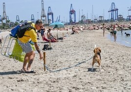 Playa para perros en Valencia: dónde está y cuál es su horario