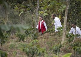 Cultivar café para sembrar la paz: el final de las 49 horas de la Reina en Colombia