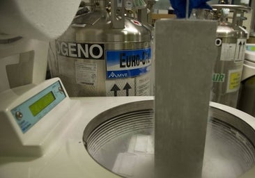 Prisión y tres años de inhabilitación para dos técnicos de laboratorio del Reina Sofía por la muerte de un paciente