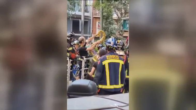 Atrapan a una enrome pitón subida a un árbol de Barcelona