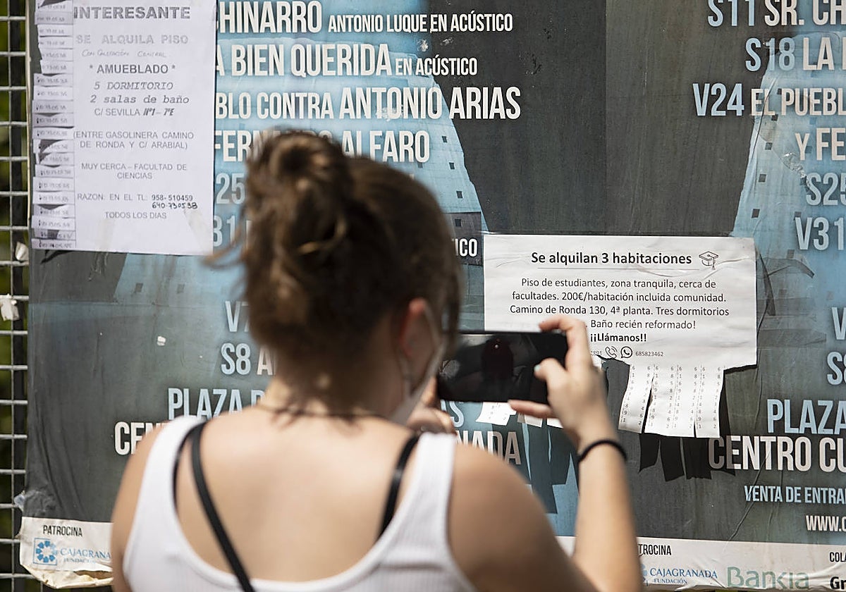 Universitaria buscando piso