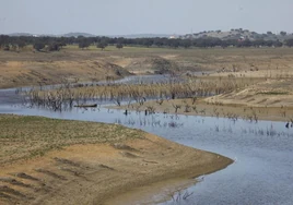 El verano con menos agua embalsada del milenio en Andalucía: un 40% por debajo de la media en los últimos 25 años