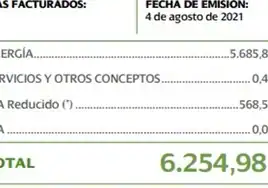 Facua logra en Córdoba que se anulen facturas indebidas de la luz por un importe total de más de 9.000 euros