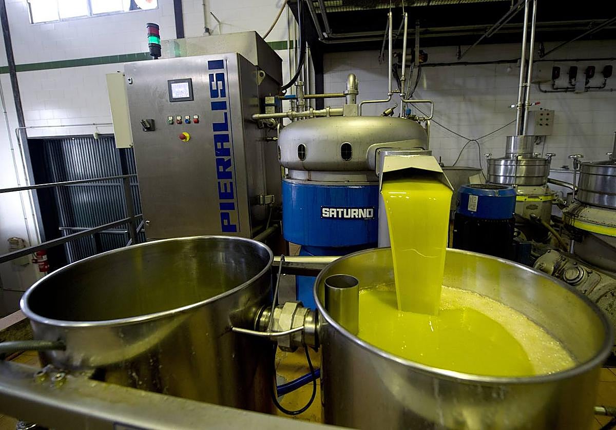 Centro de producción de aceite de oliva