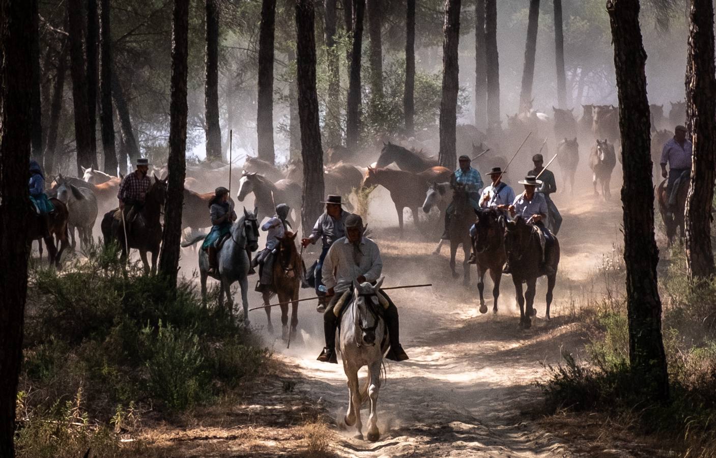Como cada 26 de junio, Almonte ha celebrado su tradicional 'Saca de las Yeguas'