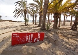 Cierran la principal playa de Jávea por altos niveles de bacterias fecales