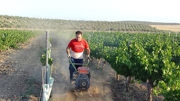 José Antonio Pérez, en el tajo