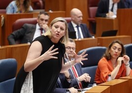 Blanco acusa al PSOE de «usar» la violencia de género para enfrentar
