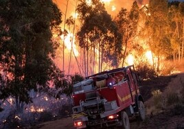 El Infoca afronta un verano con riesgo extremo de incendios en Andalucía