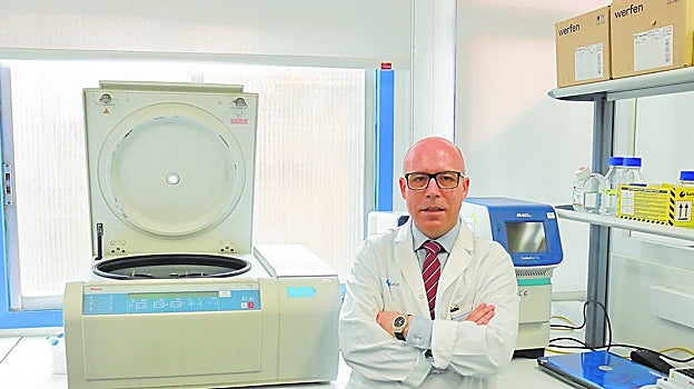 El jefe de la Unidad de Terapia Celular, Fermín Sánchez-Guijo