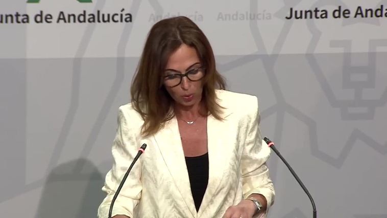 Andalucía recurrirá 18 artículos de la Ley de Vivienda por "invasión" de competencias