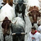 Cuándo empieza San Fermín 2023 y cómo ir a las fiestas más famosas de Pamplona en transporte público