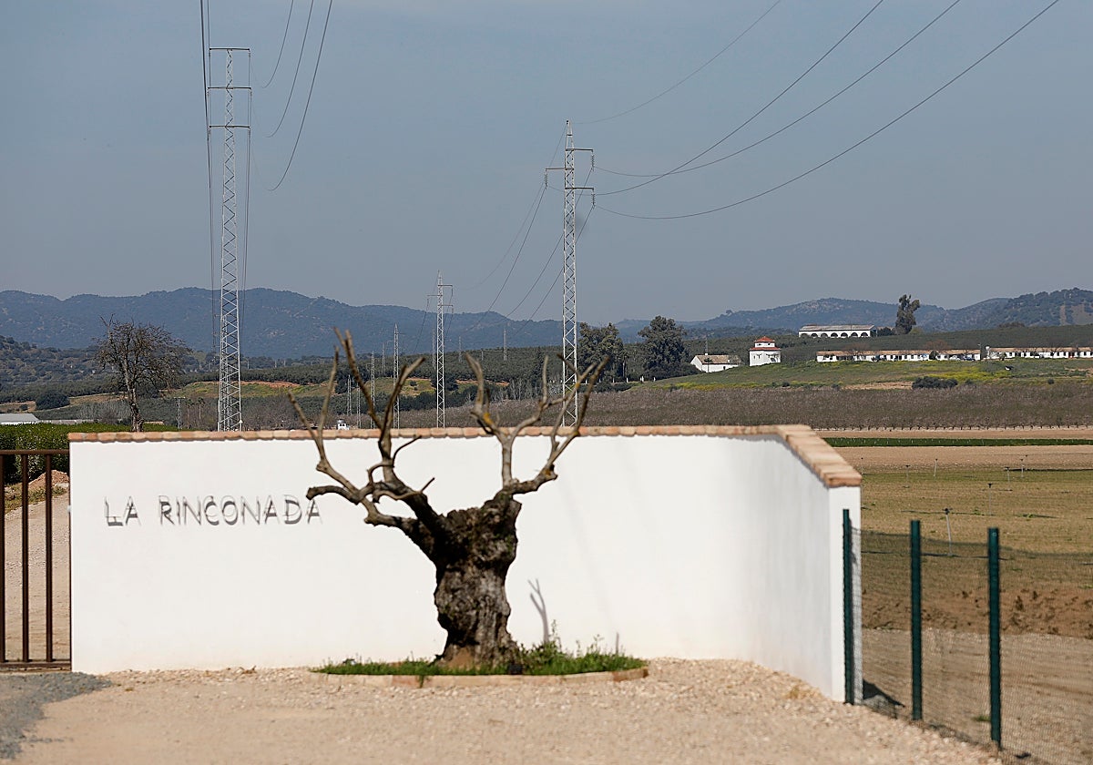 Terrenos de La Rinconada integrados en todo el sector donde se desarrollará la Base Logística del Ejército de Tierra