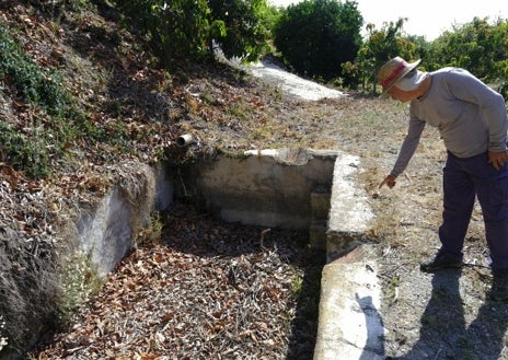 Imagen secundaria 1 - El río de Benamargosa está seco y se usa de aparcamiento, las norias antiguas no tienen agua en Benamocarra y los aguacates están cortados para reducir la necesidad de riego.