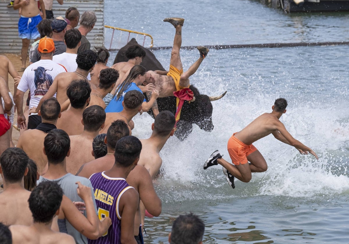 Imagen de la celebración de los 'Bous a la mar' este fin de semana en Denia (Alicante)