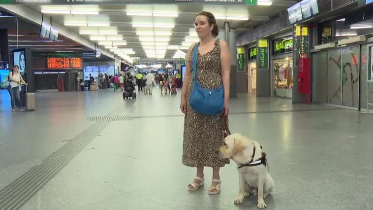 Así "trabajan" los perros guía de la ONCE