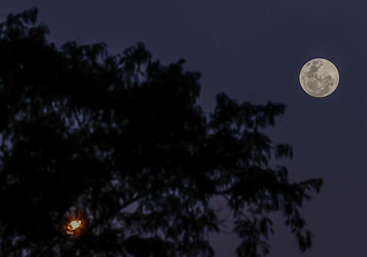 Imagen de archivo de una noche con luna llena