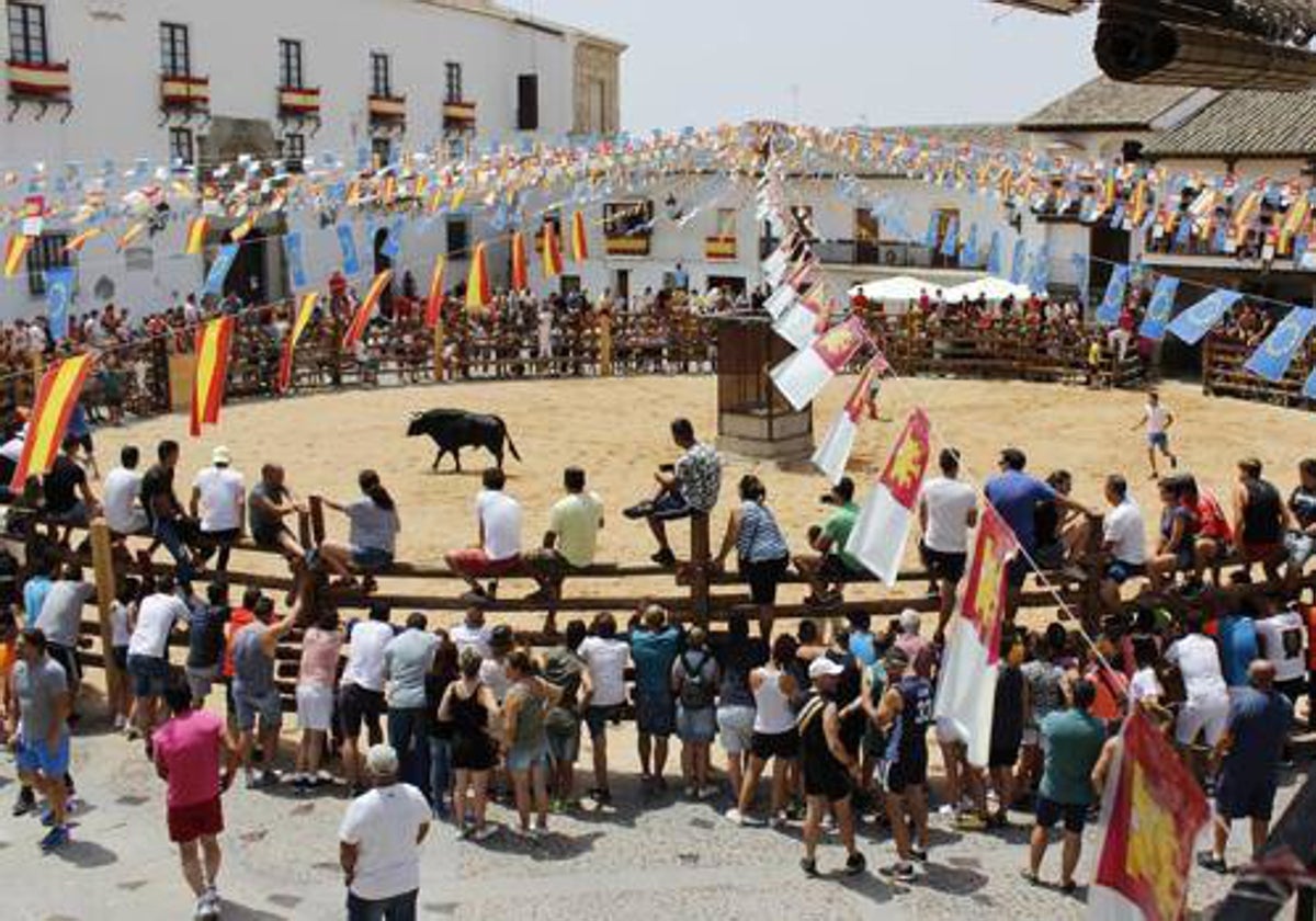 Tradicionales espectáculos taurinos en La Puebla de Montalbán