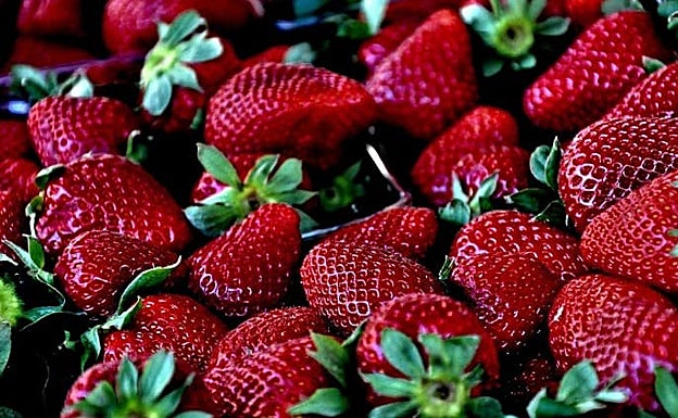 La fresa onubense es muy apreciada por su calidad