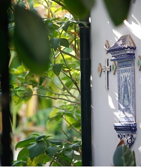 Imagen secundaria 2 - El patio del número 8 de la calle Aceite, una vericueta callejuela al lado de la iglesia de Santiago, es un micromundo de escenarios domésticos, vegetación, esculturas y pequeños detalles por el que perderse. A pesar del rigor de las temperaturas, sus plantas más atemporales se mantiene vigorosas en un microclima único.