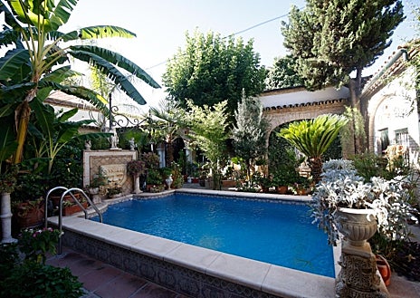 Imagen secundaria 1 - El patio del número 8 de la calle Aceite, una vericueta callejuela al lado de la iglesia de Santiago, es un micromundo de escenarios domésticos, vegetación, esculturas y pequeños detalles por el que perderse. A pesar del rigor de las temperaturas, sus plantas más atemporales se mantiene vigorosas en un microclima único.