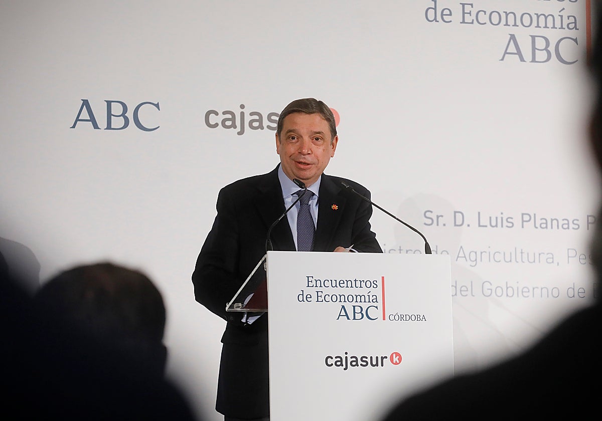 El ministro de Agricultura espera que el alto precio del aceite de oliva pueda reducirse próximamente