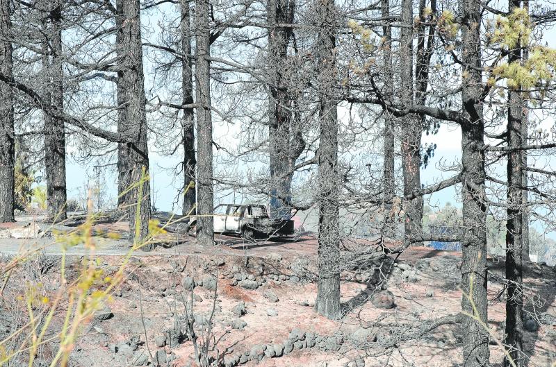 El incendio declarado en Puntagorda, La Palma, ha afectado a varias viviendas y ha llevado a la evacuación de los vecinos