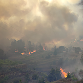 Un incendio de nivel 2 amenaza Puntagorda, La Palma, y obliga a desalojar a 500 vecinos