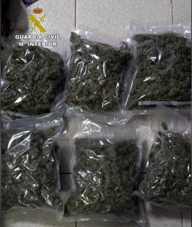 Imagen secundaria 2 - imágenes de la marihuana y los envases en que venía camuflada