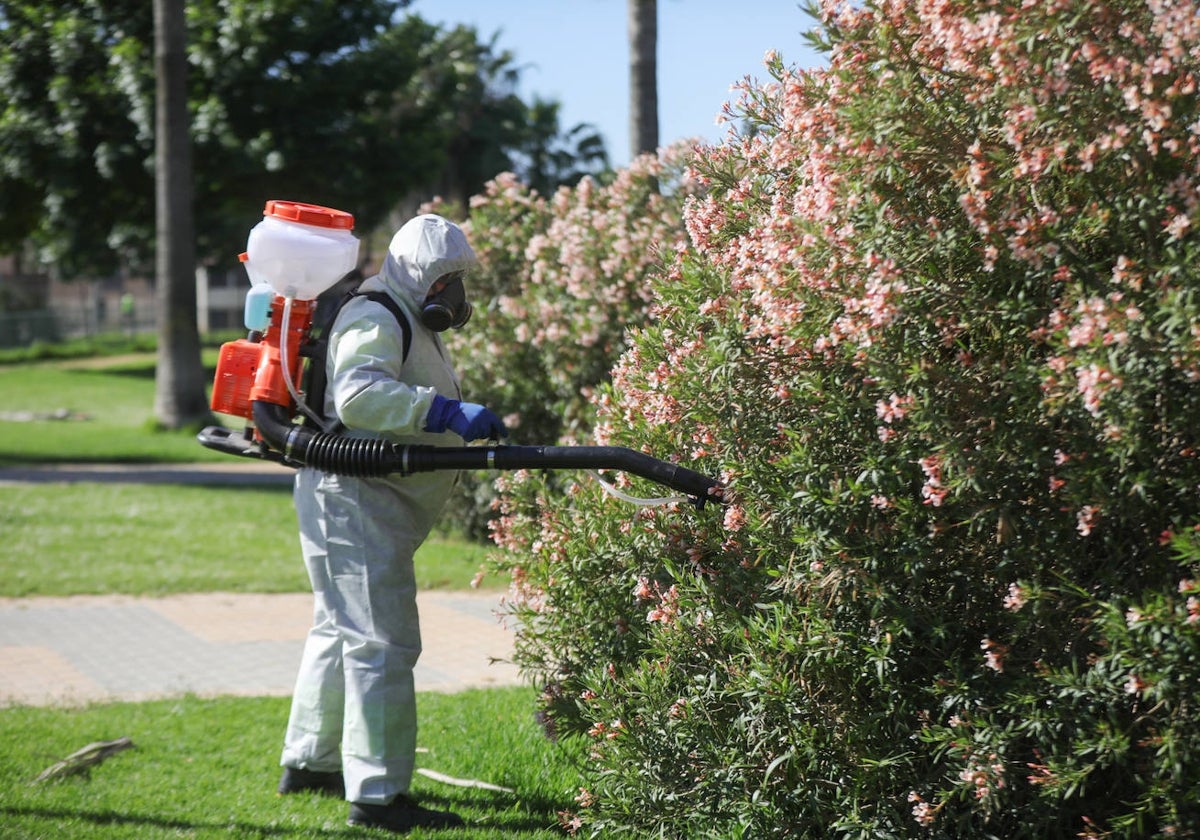 Un operario realiza tareas de fumigación de mosquitos en un parque del municipio sevillano de Coria del Río