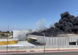 Un incendio obliga  a desalojar el centro comercial Jaén Plaza