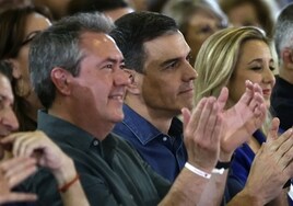 Los andaluces que dejaron de votar a Juan Espadas sí se movilizan por Pedro Sánchez