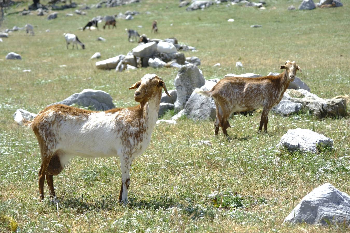 Grazalema, uno de los municipios de España con más precipitaciones