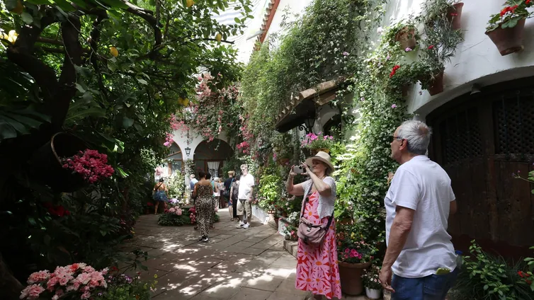 Los patios de Córdoba y su microclima, la alternativa para pasar un verano al fresco sin ir a la playa