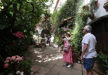 Los patios de Córdoba y su microclima, la alternativa para pasar un verano al fresco sin ir a la playa