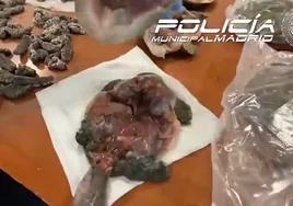 Denuncian un restaurante chino en Usera que sacrificaba tortugas y cangrejos exóticos para cocinarlos