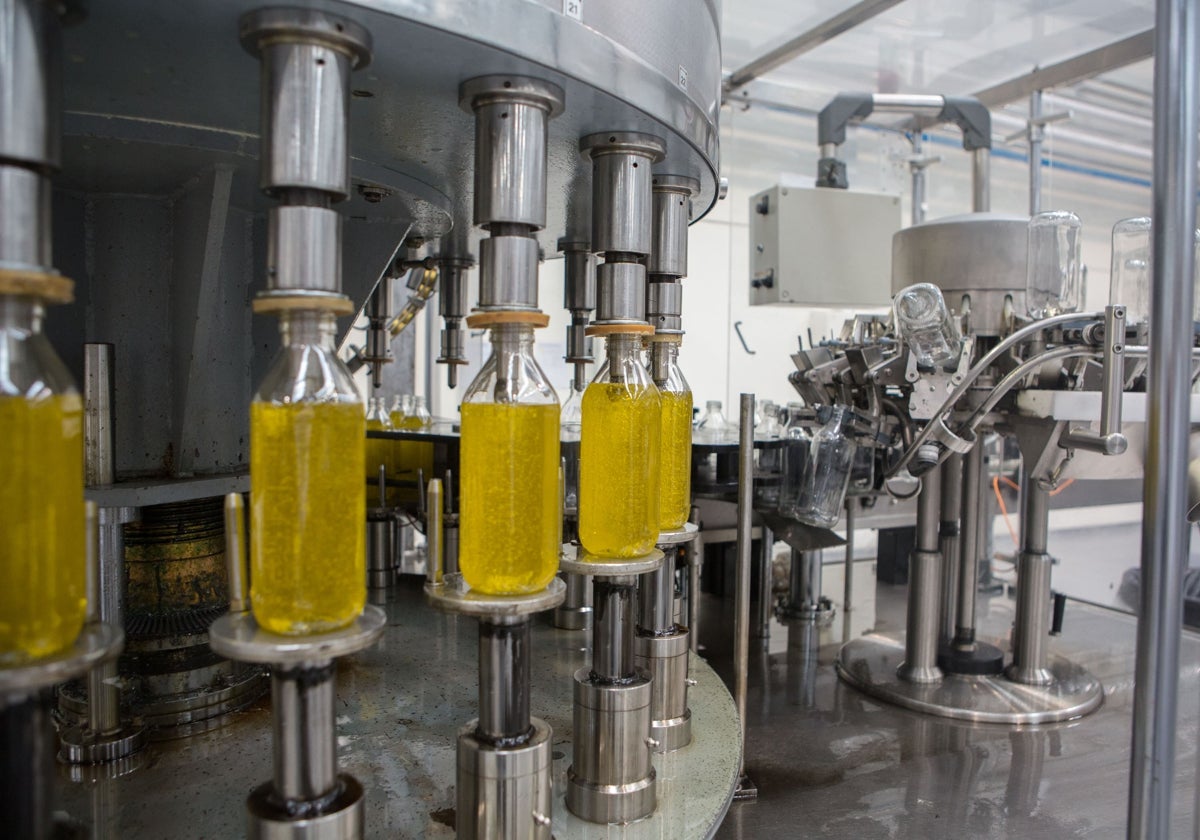 Una planta envasadora de aceite de oliva