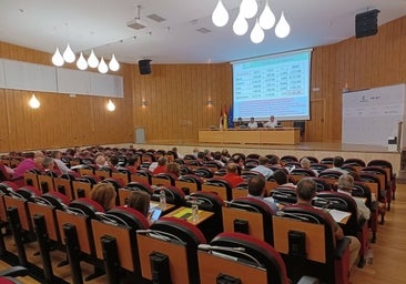 Castilla-La Mancha producirá 20 millones de hectolitros de vino y mosto, un 12% menos que en 2022