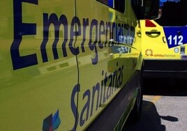 Una mujer de 50 años muere en una colisión entre un coche y un camión en Cardeñosa (Ávila)